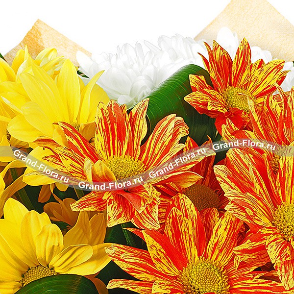 Солнечные блики - букет из разноцветных кустовых хризантем