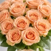Букет кремовых роз "Капучино" 2